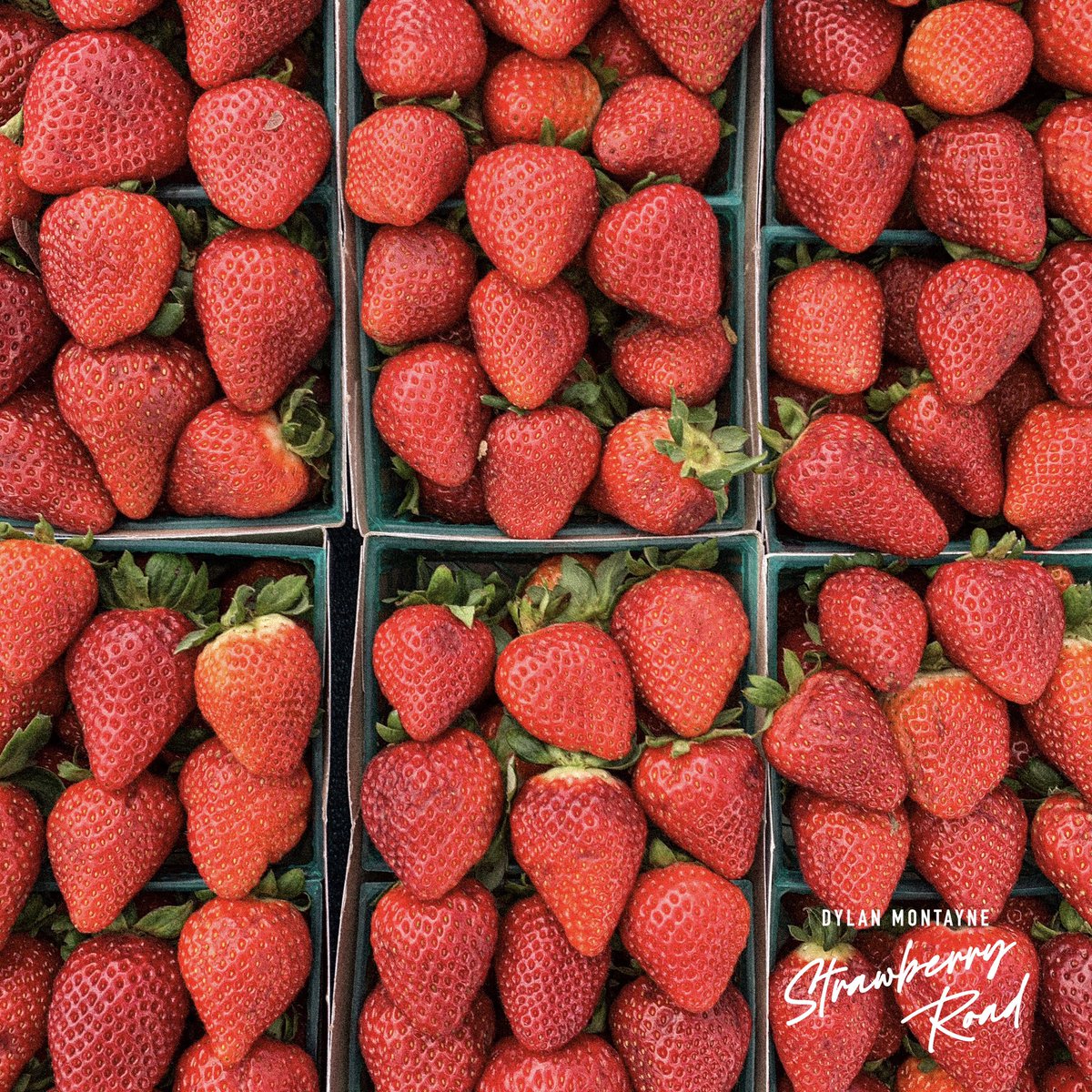 dylanmontayne's tweet photo. hey hey heyyy my new single strawberry road is out now, streaming everywherrrre!! hit play you sissies 🍓 https://t.co/V8xJLvo9j6 

#StrawberryRoad https://t.co/0oT8dSS9Ye