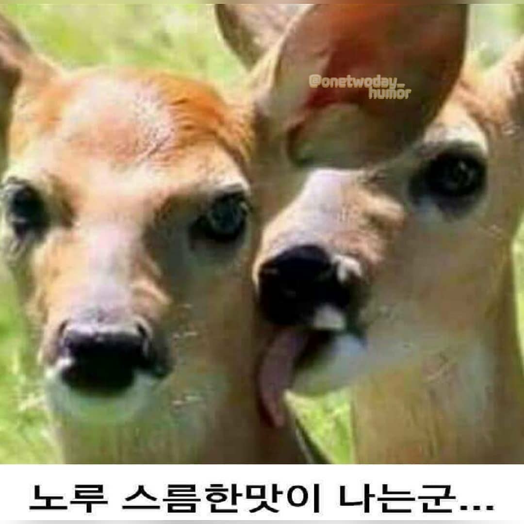 벌써 스물셋을 바라보다니..