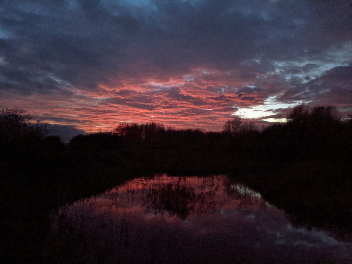 A proper Fens sunset <a href="/RSPBLakenheath/">RSPB Lakenheath Fen</a>  and tawny owls getting frisky in the woods as we shut up the office at the end of a long day sedge cutting.