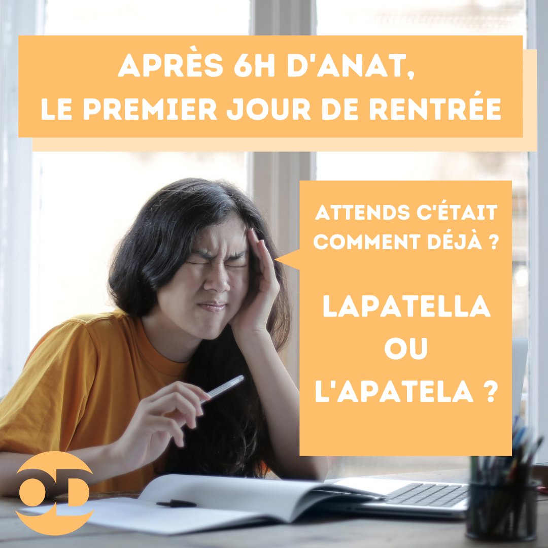 Bonjour à tous ! 
Le premier épisode de l'émission arrivera la semaine prochaine🎉 
Tenez vous prêt ! 😉
Pour vous aussi les premiers cours d'anatomie c'était compliqué ? Sur quels mots vous avez buggé ? Sphénoïde ? Ulna ? Styloïde ? 😅