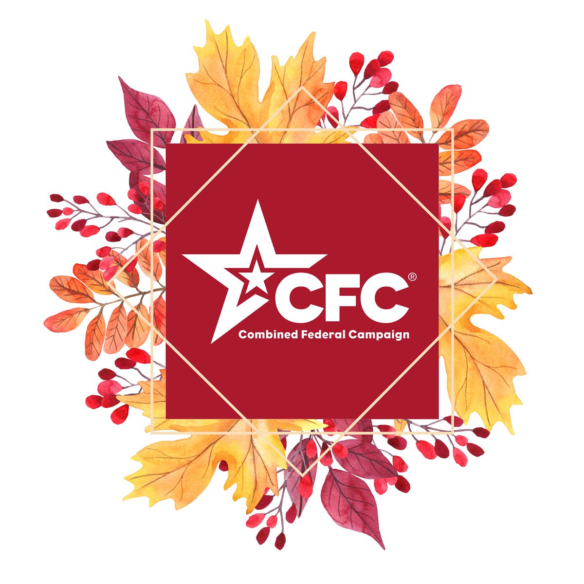 Consider how you can help support WNPS with the many options available to give. WNPS is set up with the following work place giving campaigns, and we work with The Combined Federal Campaign for Federal Employees - CFC #69374