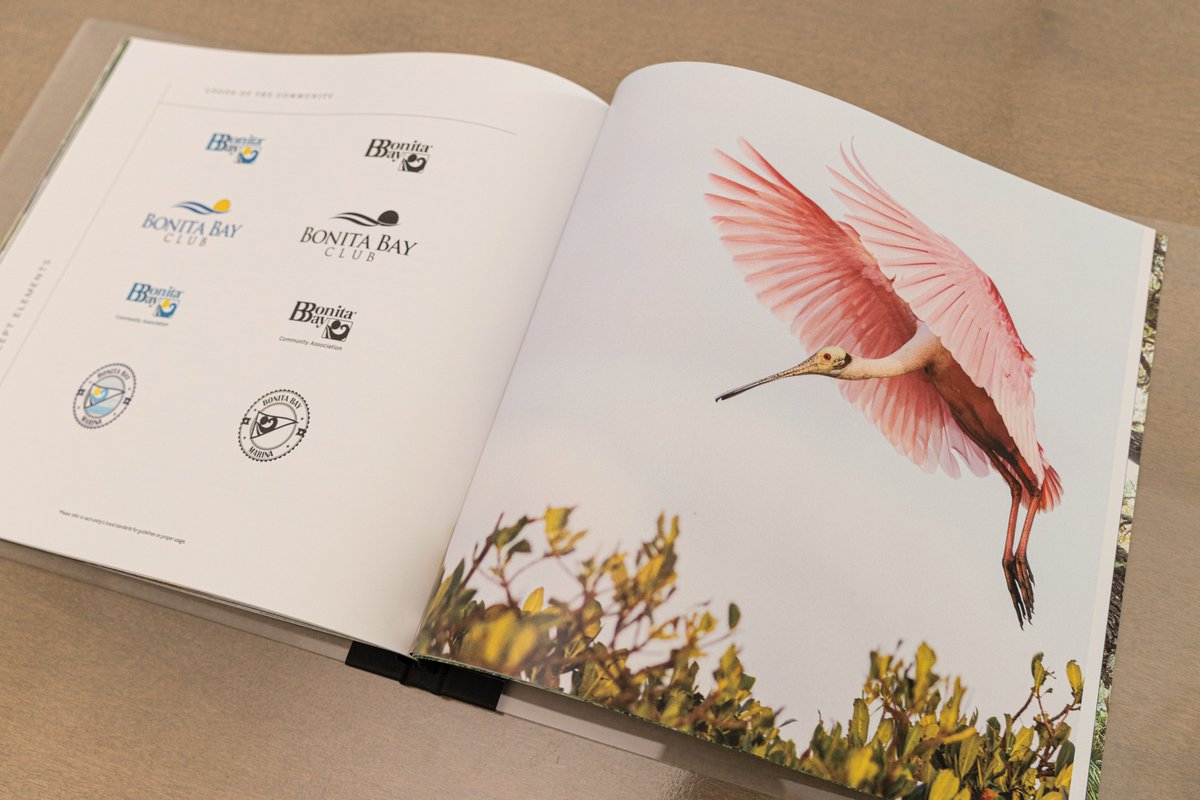 wcgpros's tweet photo. Remember our teaser post back in August…to be significant &amp; enduring takes time. This brand book will serve the present &amp; future generations of community association leaders with guidance on every aspect of Bonita Bay, enabling them to express their community’s unique appeal. https://t.co/hwr8VWsXdJ