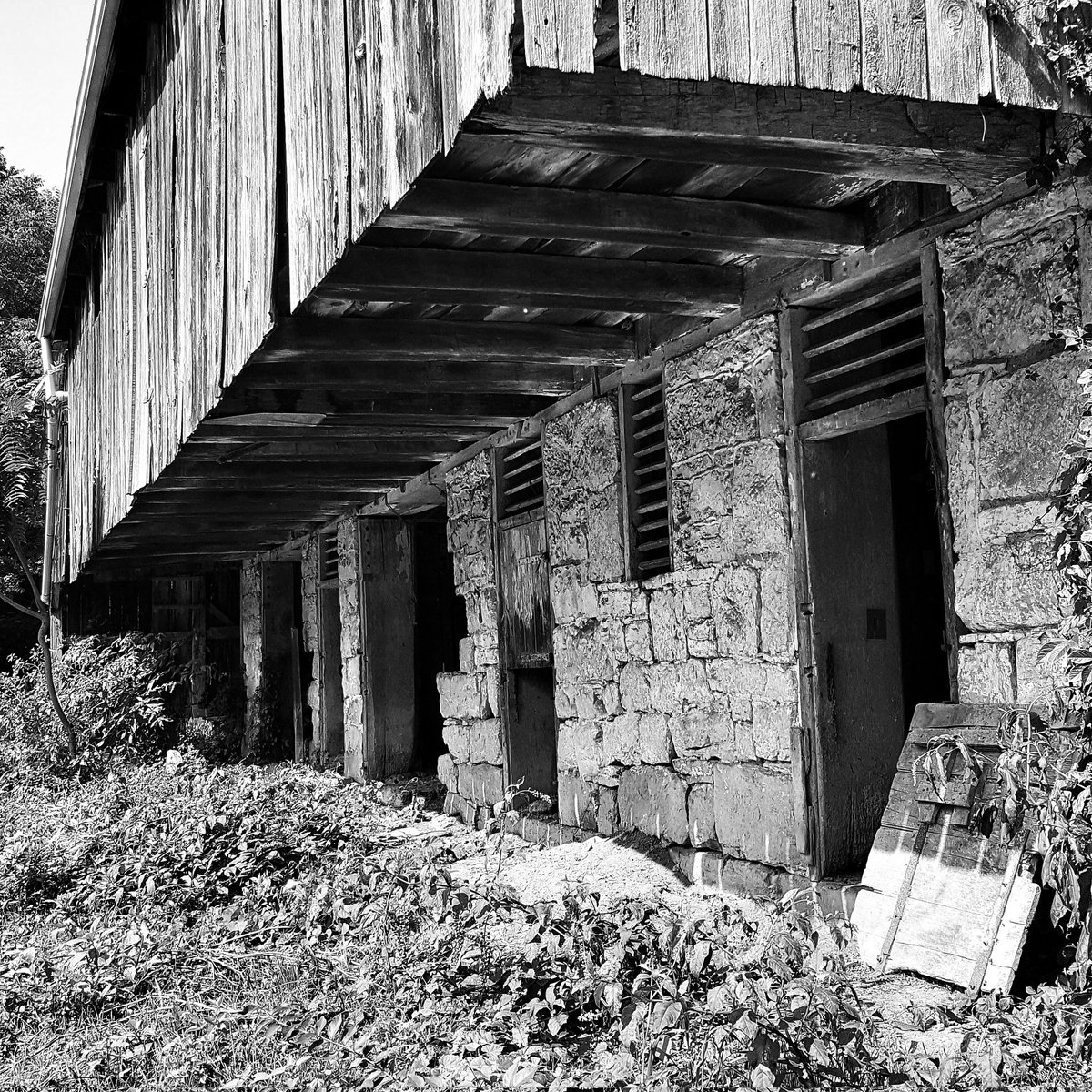 Vis_Symphonies's tweet photo. A beautiful old barn in Hagerstown, MD. Photo was taken in 2017 and I believe the barn is now being renovated and restored to its former glory. #marylandphotographer #hagerstownmd #oldbarns #blackandwhitephotography #westernmaryland #ruralmaryland #ruralphotography https://t.co/kMmTHi1dNT