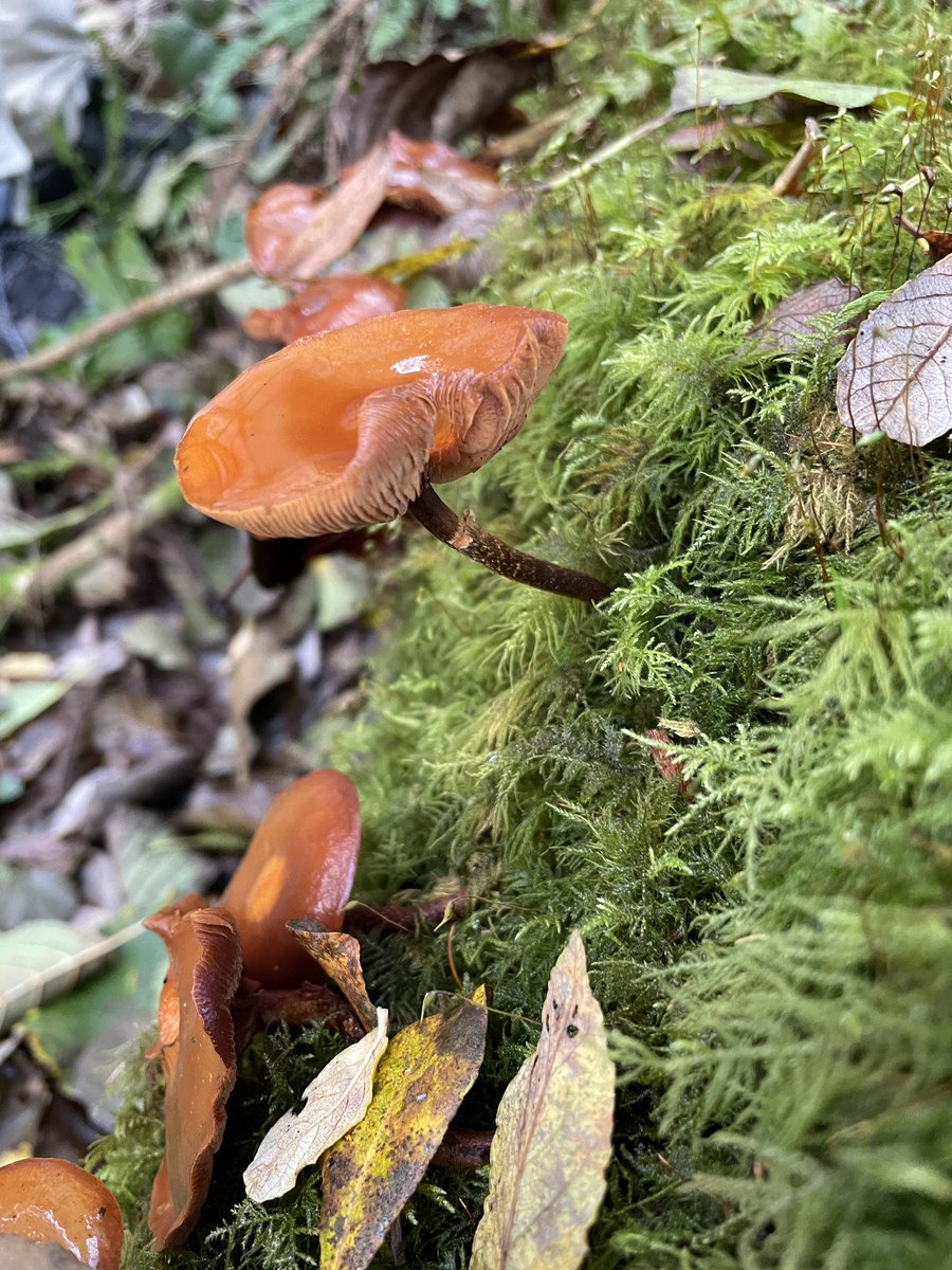 Cath Cooke tweet media