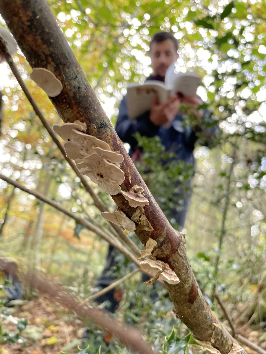 Cath Cooke tweet media