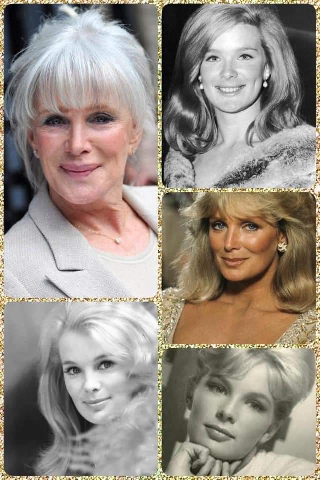 Happy Birthday 
LINDA EVANS 

November 18, 1942 (79) 