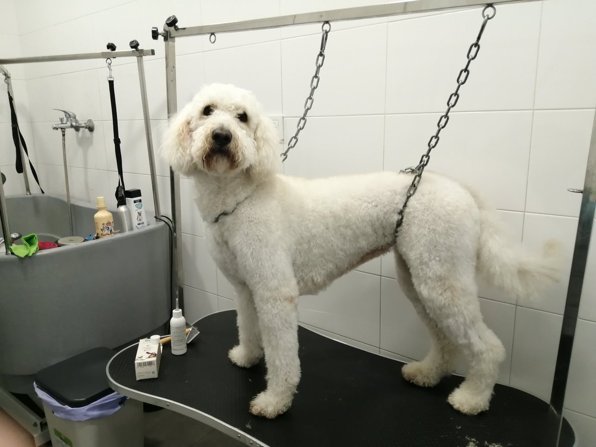 Nolcan1's tweet photo. AQUÍ OS DEJO A LANA, QUE NOS HA VISITADO HOY Y SE VA ASÍ DE GUAPA.... https://t.co/clRfd1fVxG