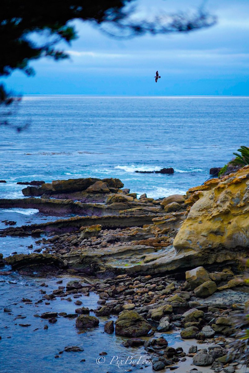 Fernando_6uzman's tweet photo. In flight. #vacation #lagunabeach #oceanviews #abc7eyewitness https://t.co/Yqt8srS0X0