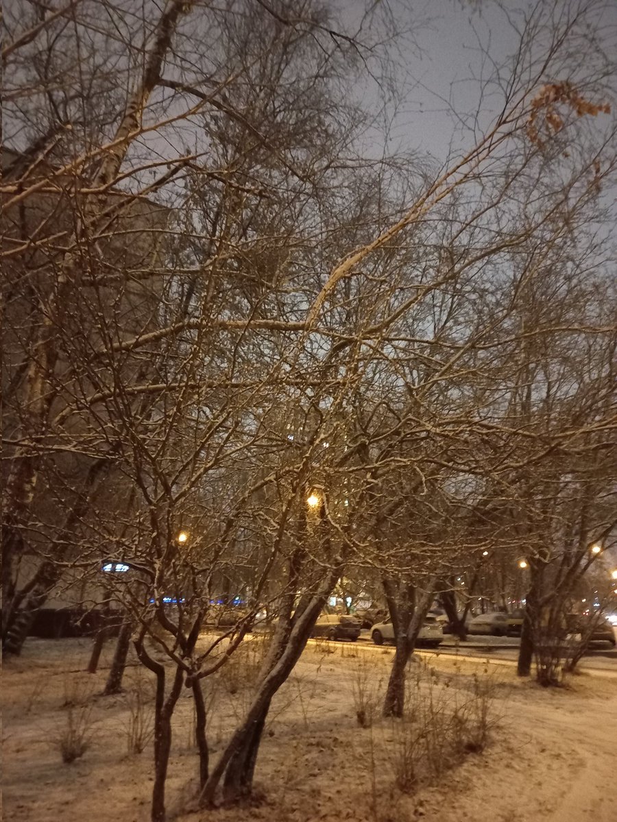 Еще немного и скоро Новый Год. Как же быстро летит время