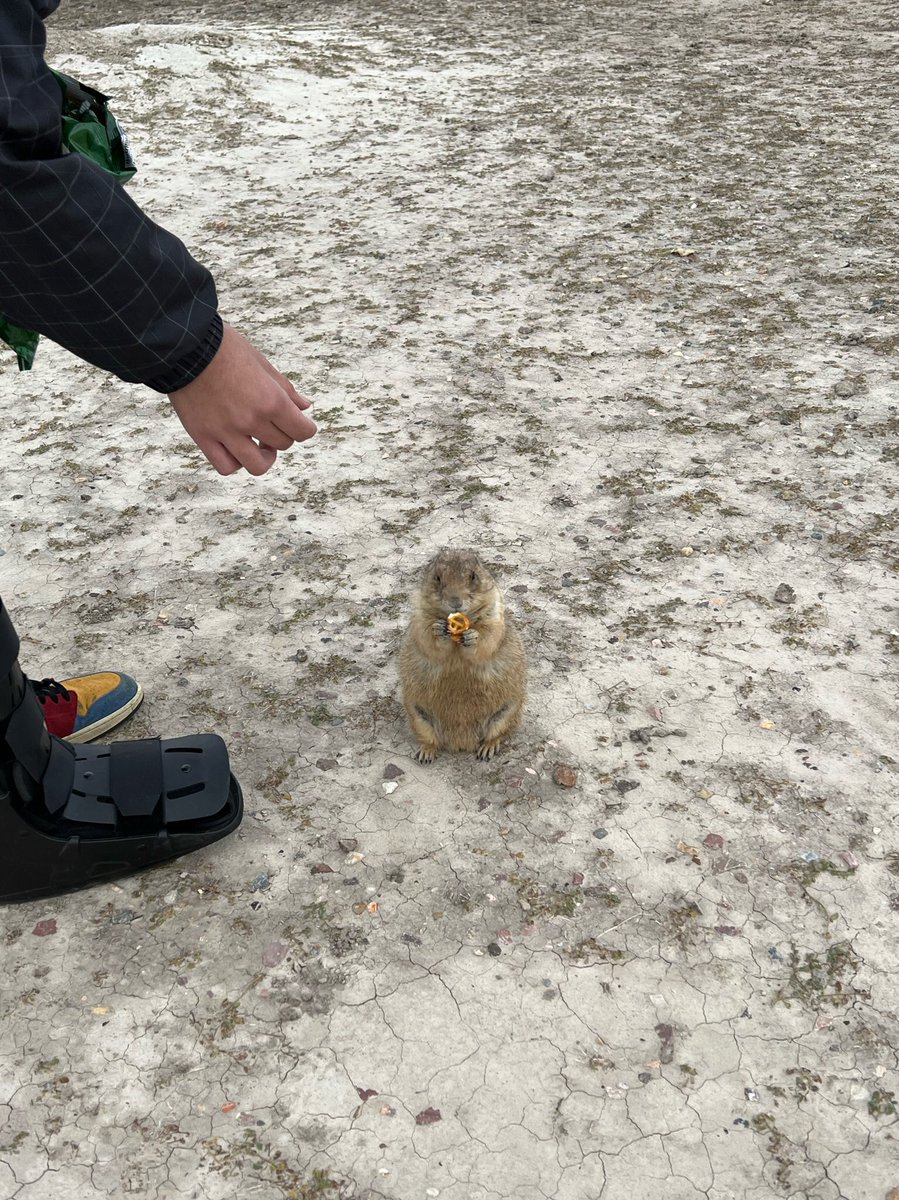 kevsitrust's tweet image. 