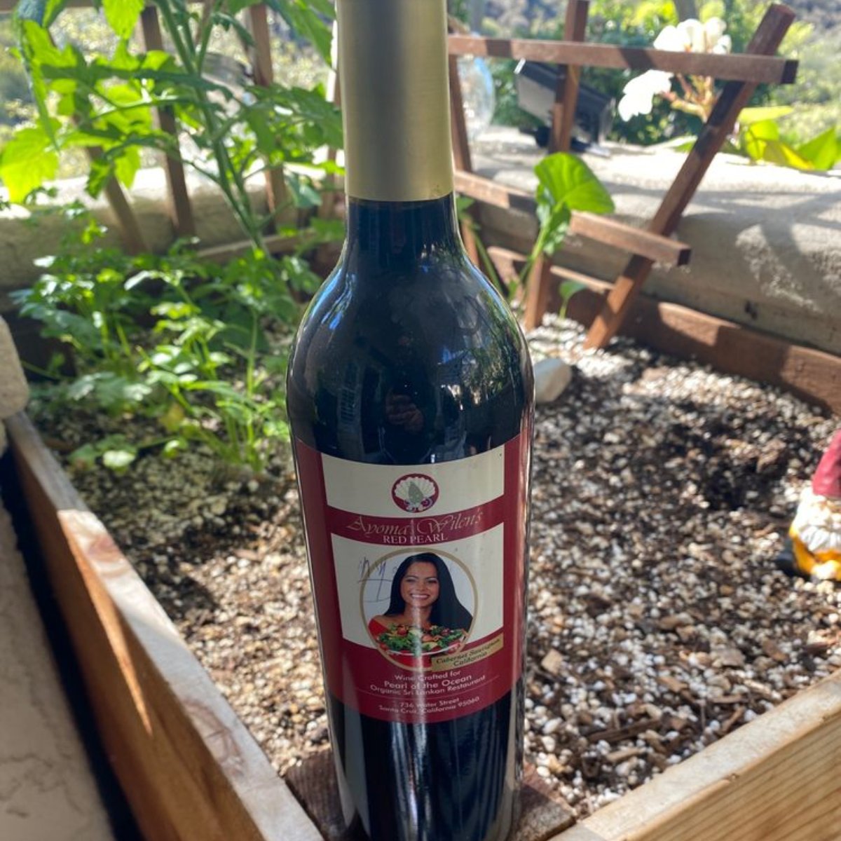 Pearl of the Ocean tweet media