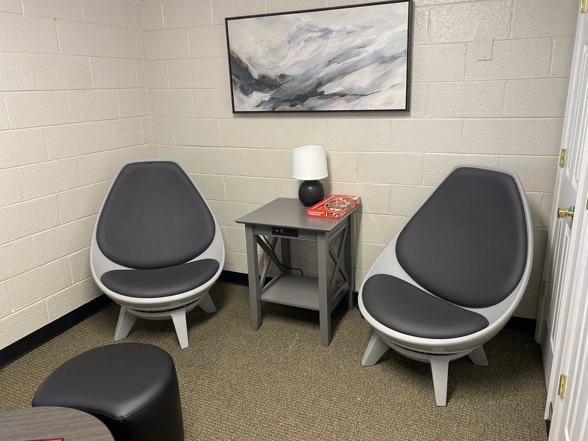 Our new furniture is coming in <a href="/ProgramElevate/">The Elevate Program</a> We are so bougie!