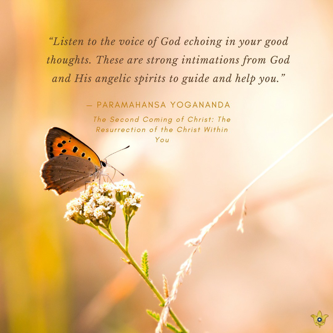 ysdkbengaluru's tweet photo. #yoga #meditation #spiritual #quotes https://t.co/uVaymlgtsq