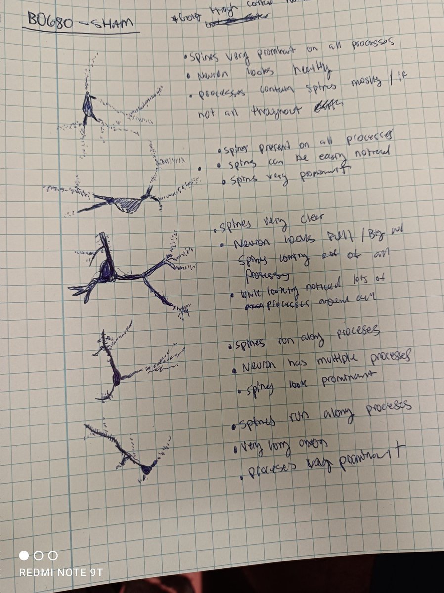 Canxuki's tweet photo. Great students like @yxsxfr doing great job.
Sometimes drawing what you are seeing is a fantastic way to train your brain to spot differences.
#BackToTheClassics #FutureCajal #GoodJob #DreamTeam https://t.co/O66v2kWHWw