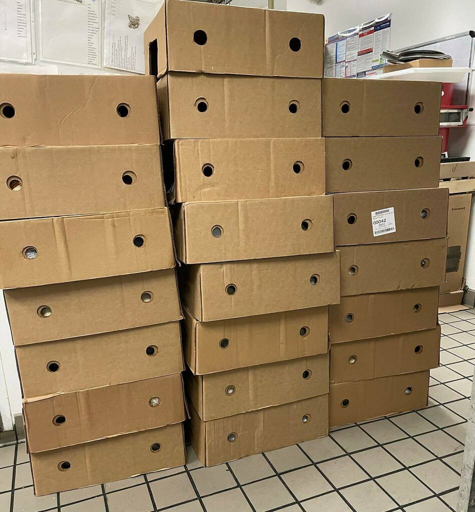 whirlows's tweet photo. We are in full Thanksgiving week prep over here! These are just some of the many cases of turkey we’ve received. 🦃
Make sure you get your orders in soon, we are almost sold out! 
Thank you to all who have ordered! ❤️

#thanksgiving #thankful #thankyo… https://t.co/LIHmqn7miY https://t.co/CBsgqEjLM0