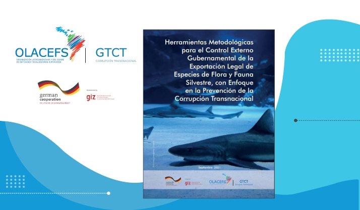 ContraloriaECU's tweet photo. 📘 Ya puedes descargar la investigación que realiza el #GTCT con apoyo de @giz_gmbh sobre las herramientas que pueden usar las y los auditores y autoridades ambientales para prevenir la corrupción en la comercialización de fauna y flora silvestre.
➡https://t.co/S58cCYY47o https://t.co/6JJgDvjFvB