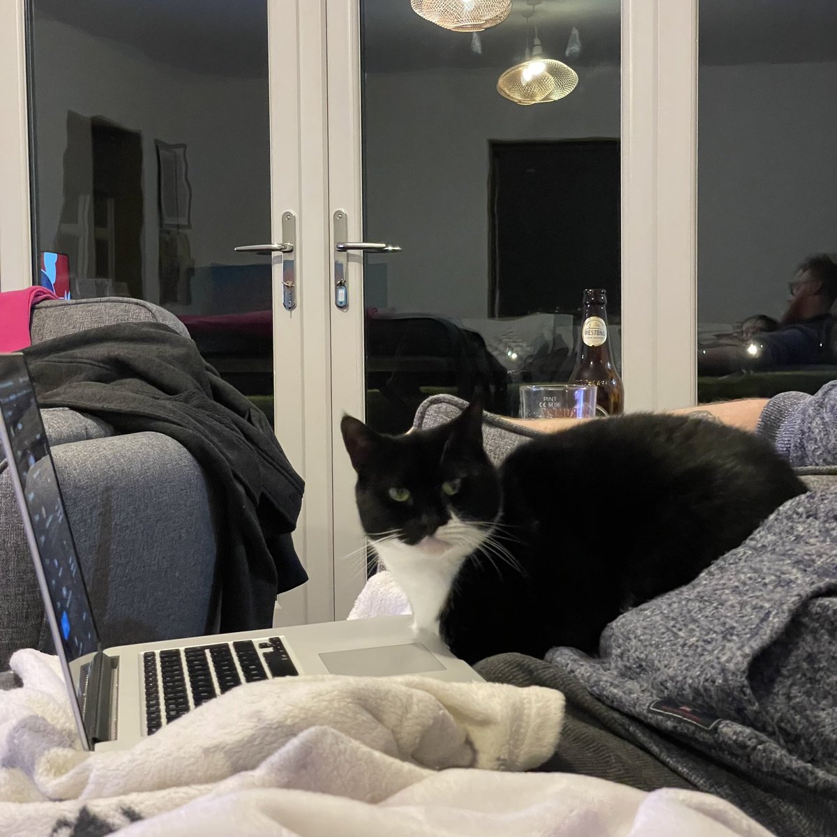 Jodee Mayer tweet media