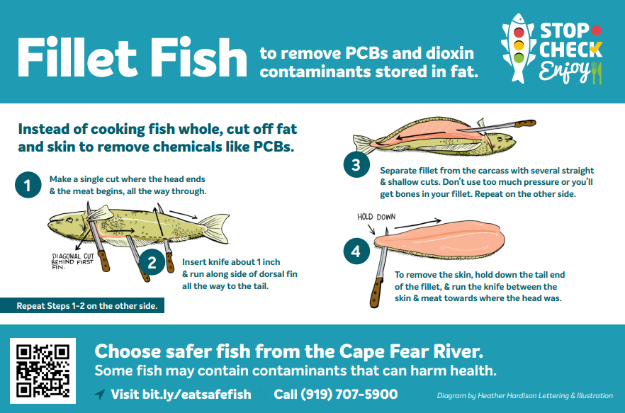 DukeSuperfund's tweet photo. Some chemicals like PCBs and dioxins are found in the fat of a fish. So its a good idea to fillet and skin your fish before you cook it to limit exposure. Check out our diagram on how to fillet fish #StopCheckEnjoy https://t.co/NiPQoU9ml6 https://t.co/PkbKX1W2ek