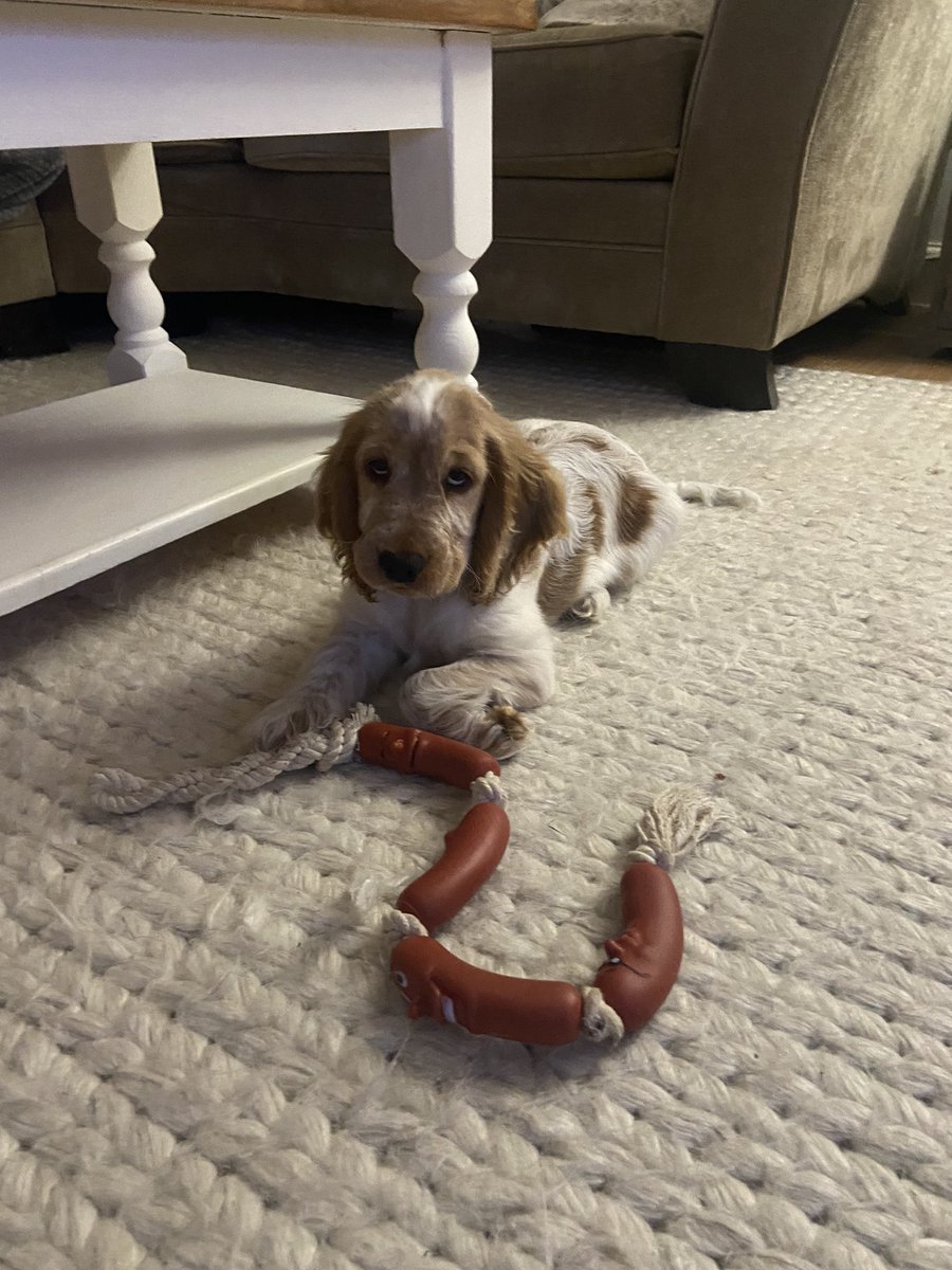 Brad Tuckfield tweet media