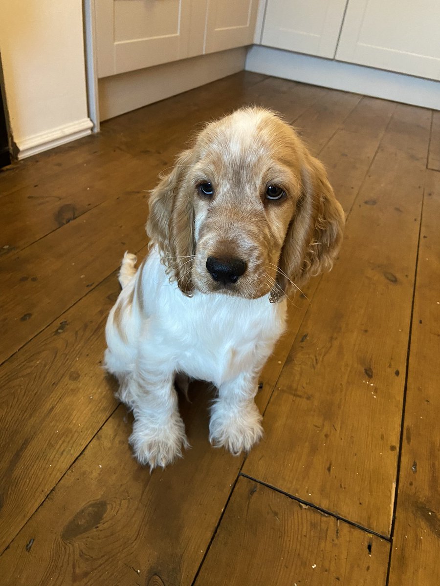 Brad Tuckfield tweet media