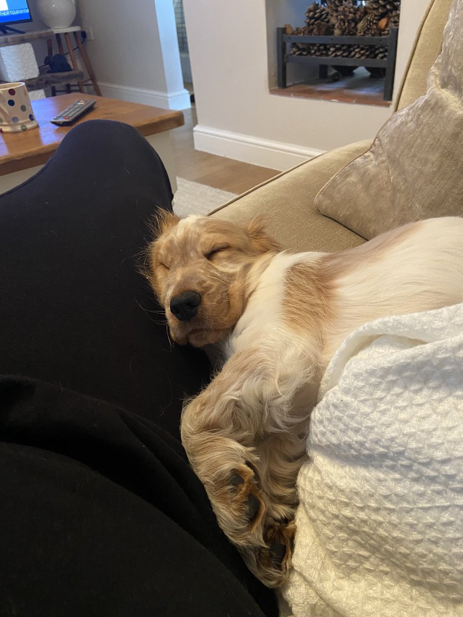 Brad Tuckfield tweet media