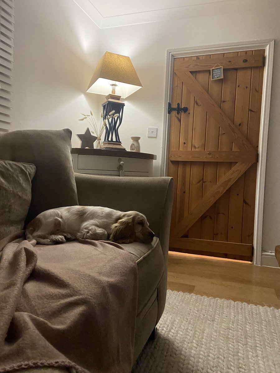 Brad Tuckfield tweet media