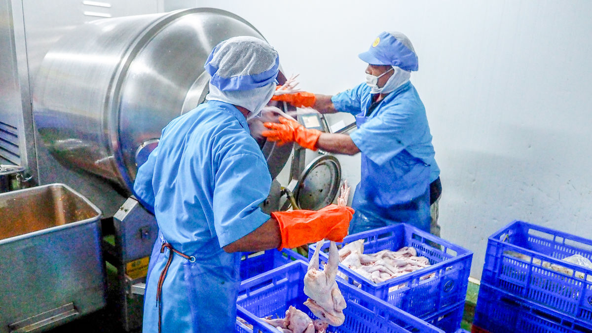 SiamAllFood's tweet photo. ไก่ย่างเขาสวนกวาง ของเราหมักจากโรงงานที่ได้มาตรฐาน ISO9001 2015 : หมักด้วยเครื่องหมักสูญญากาศ ทำให้น้ำหมักเข้าเนื้อ หนีบไม้ไผ่ใหม่สะอาด รัดด้วยตอกไม้ไผ่ พร้อมกระจายสินค้าได้ ครอบคลุมทั่วประเทศ แล้วนะครับ ^^

สนใจ แอด Line : https://t.co/UxrYVZZK5f หรือ  064-936-6983 https://t.co/fX1OfCm0YB