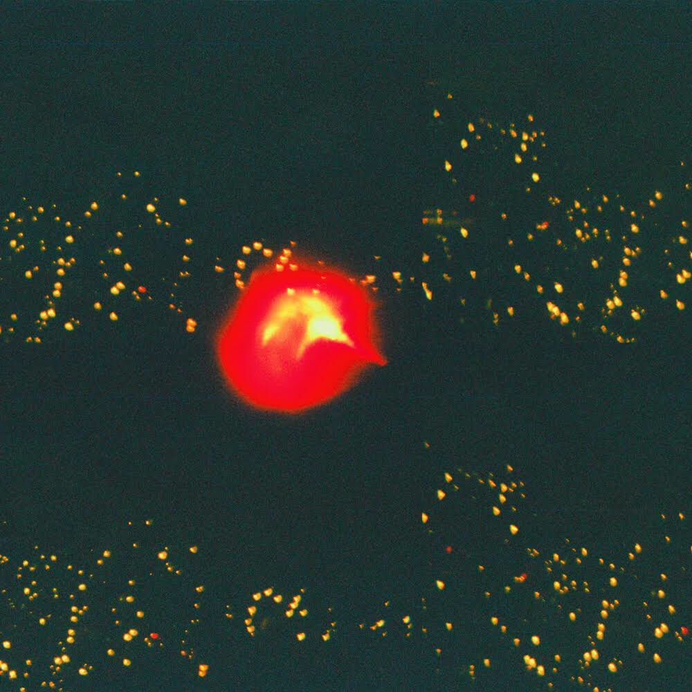 the ‘anybody else but u’ artwork came from a role of 35mm film that was underexposed. along side a load of dark photographs was this happy accident. i think it captures the warmth and energy of the track, i dunno, you tell me. it’s out tomorrow. 
linktr.ee/poolsideconvom…