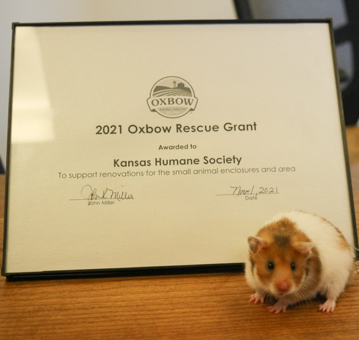 Thank you so much to <a href="/OxbowAH/">Oxbow Animal Health</a> for selecting KHS as a recipient of a $3,100 grant to support renovations for our small mammal enclosures and area.