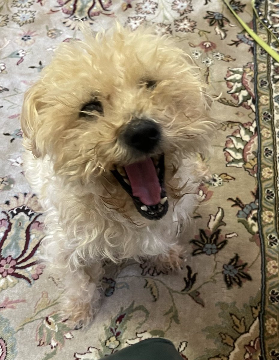 Mark Fetherolf tweet media