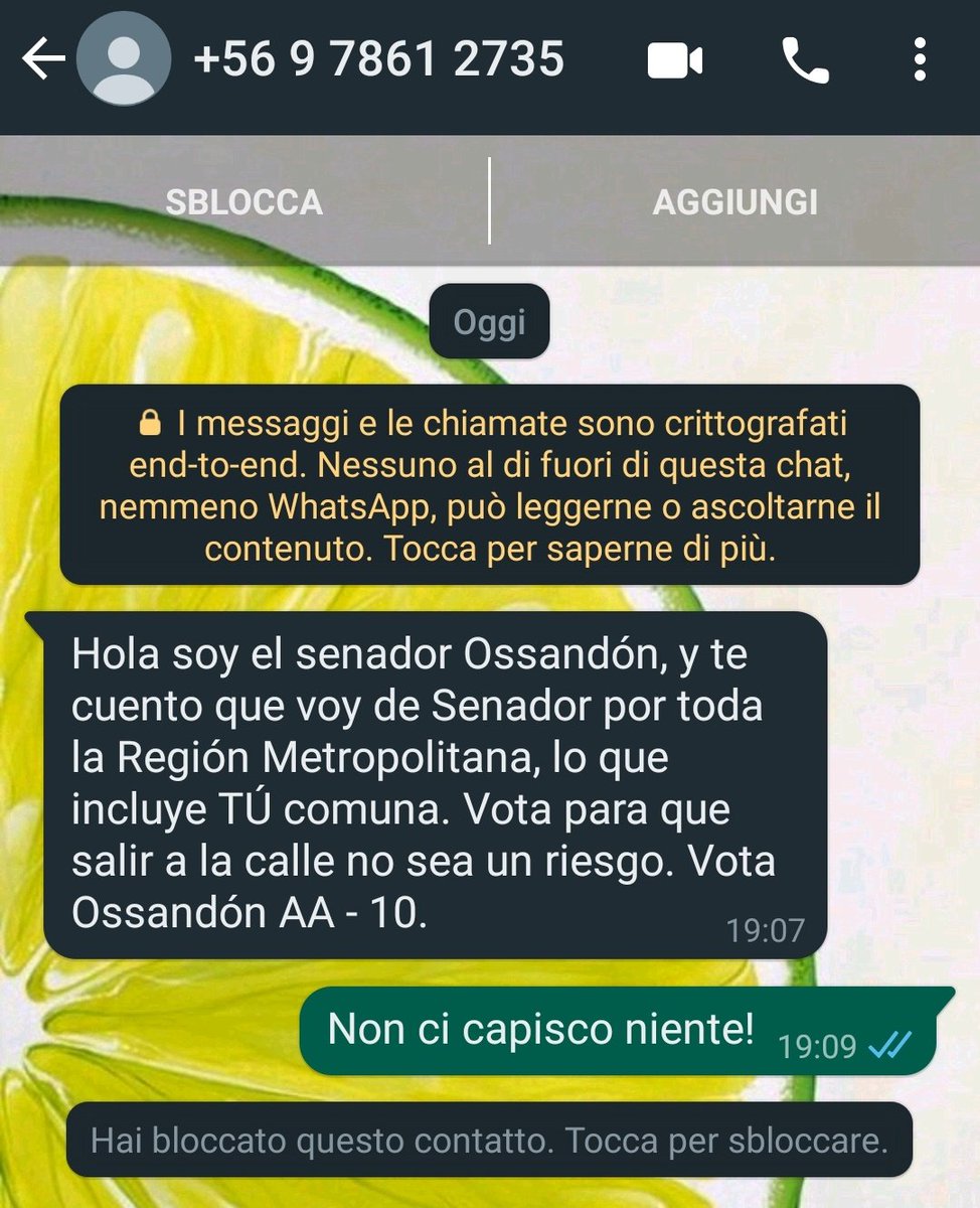 Germa1's tweet photo. Con qué derecho me invaden WhatsApp con esta clase de mensajes!

#Vaffancul*! https://t.co/aHEj4jnBew