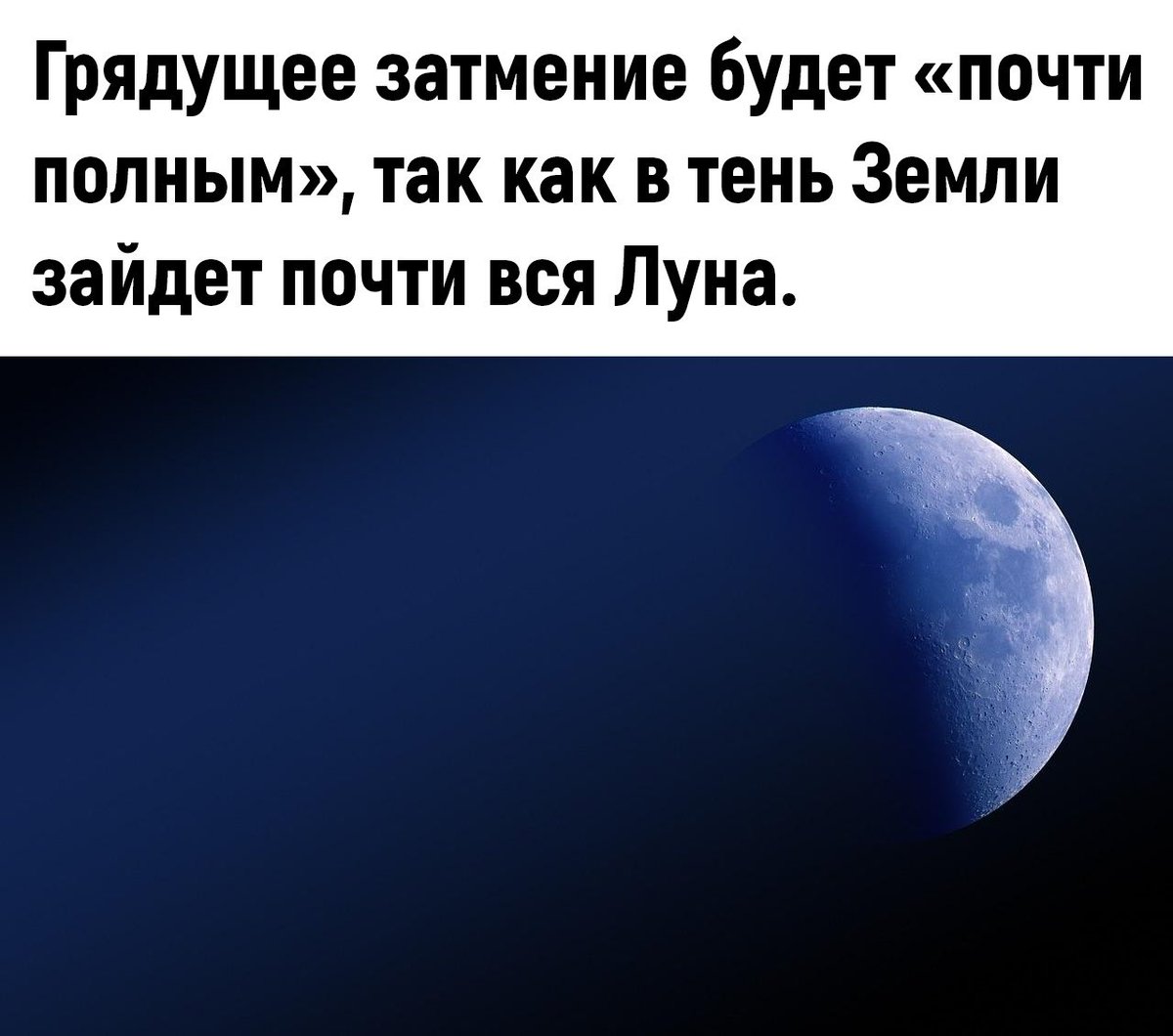 Горстка Фактов (@103facts) on Twitter photo 