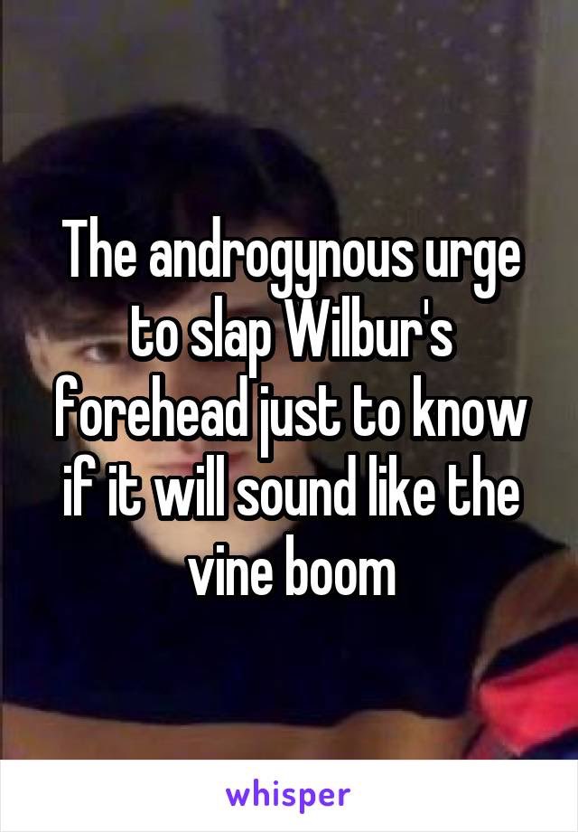 wilburwhisper's tweet image. 