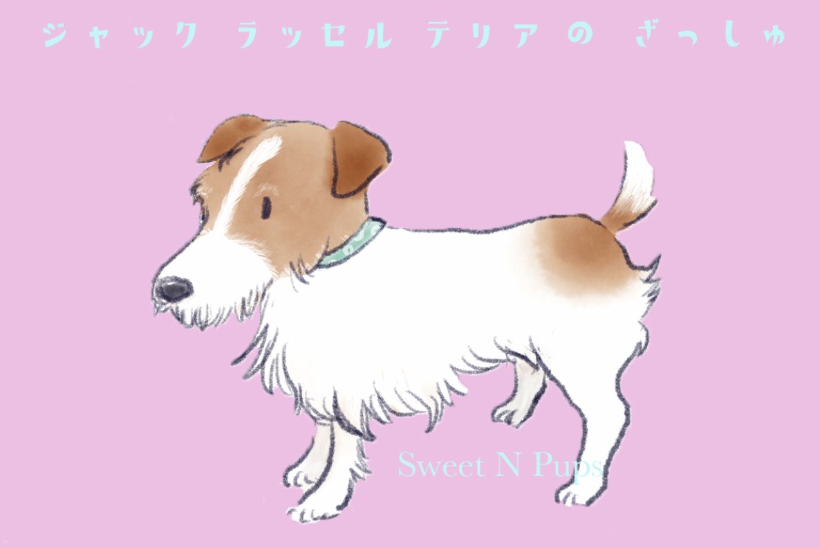 Sweet N Pups Go Go保護犬 今日のお絵描き かわいいジャック ラッセル テリアを雑種にしてみました やっぱりお絵描きするの好きです 犬のイラスト イラスト テリア 雑種 保護犬 イラスト お絵描き T Co Rqh9rfsska Twitter