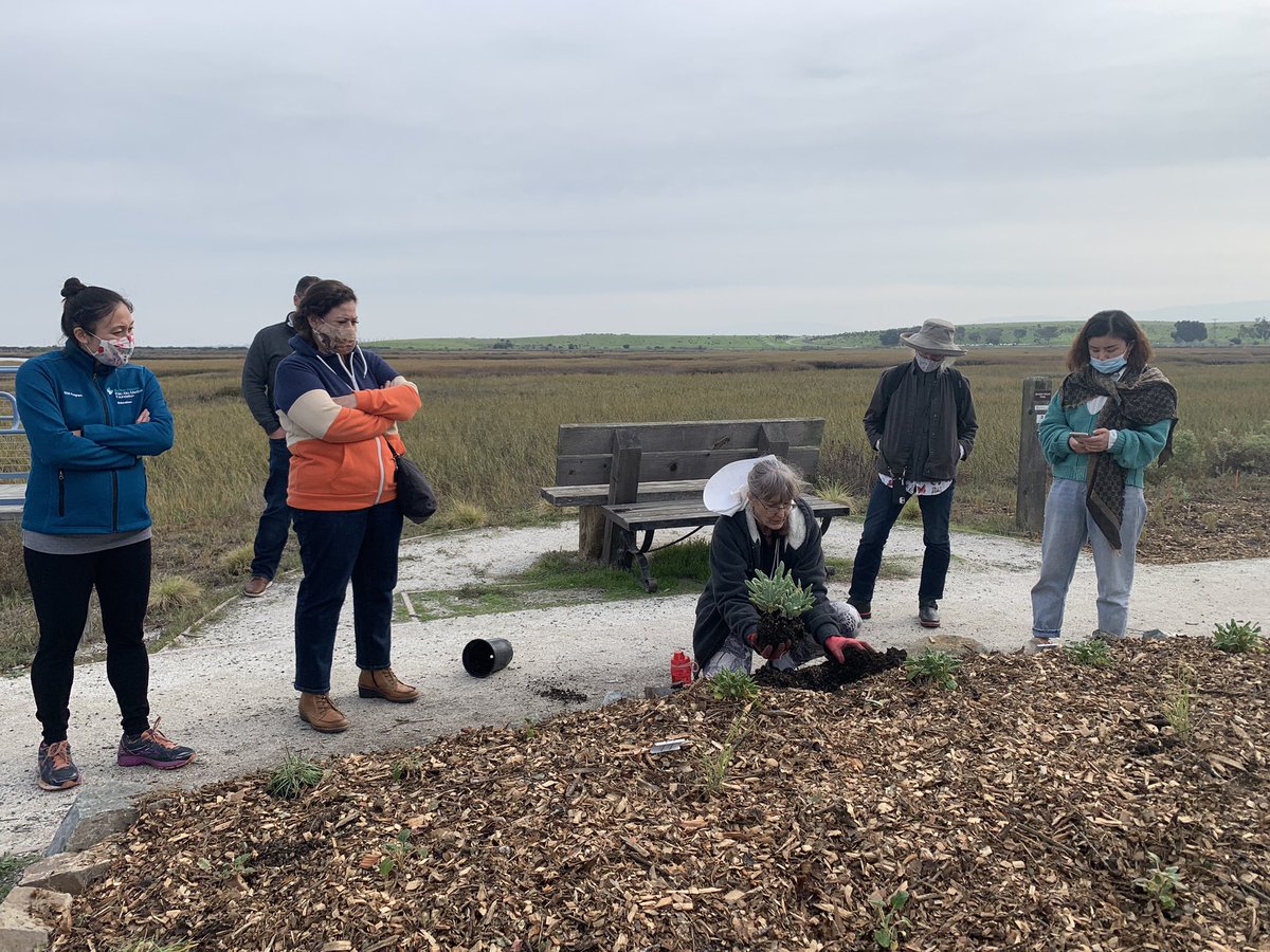evteich's tweet photo. Environment and Sustainability day with @PA_Chamber #LeadershipPaloAlto at the Baylands https://t.co/T40wiZgYjT