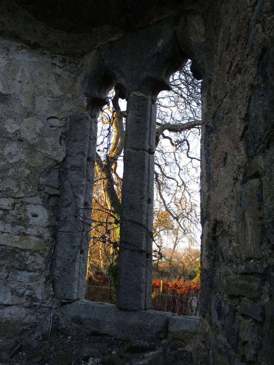 AineMedievalDub's tweet photo. Three years ago since I took these pictures of St Finnian's Church in Newcastle Lyons. It was the perfect November afternoon for taking pictures. #medievaltwitter #medieval #NewcastleLyons #Dublin #medievalDublin https://t.co/wcMe63yw8V