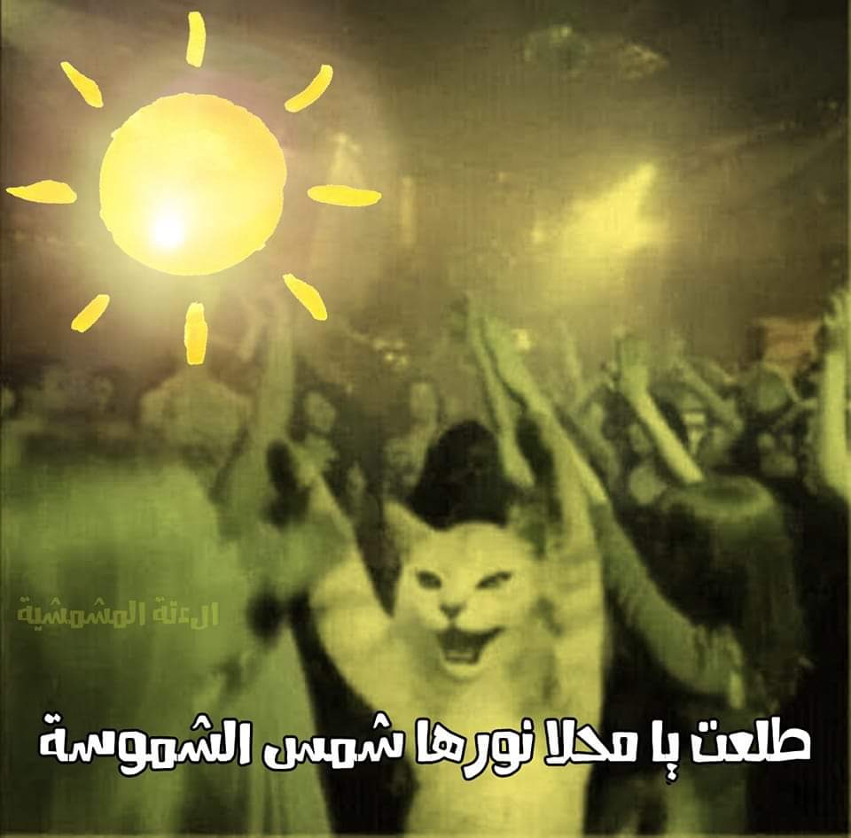Sarcasm_Station's tweet photo. كل المحافظات عندهم مطر وبرق ورعد وتأجيل دراسة 
المحافظة بتاعتى : https://t.co/ftmviKCz5k