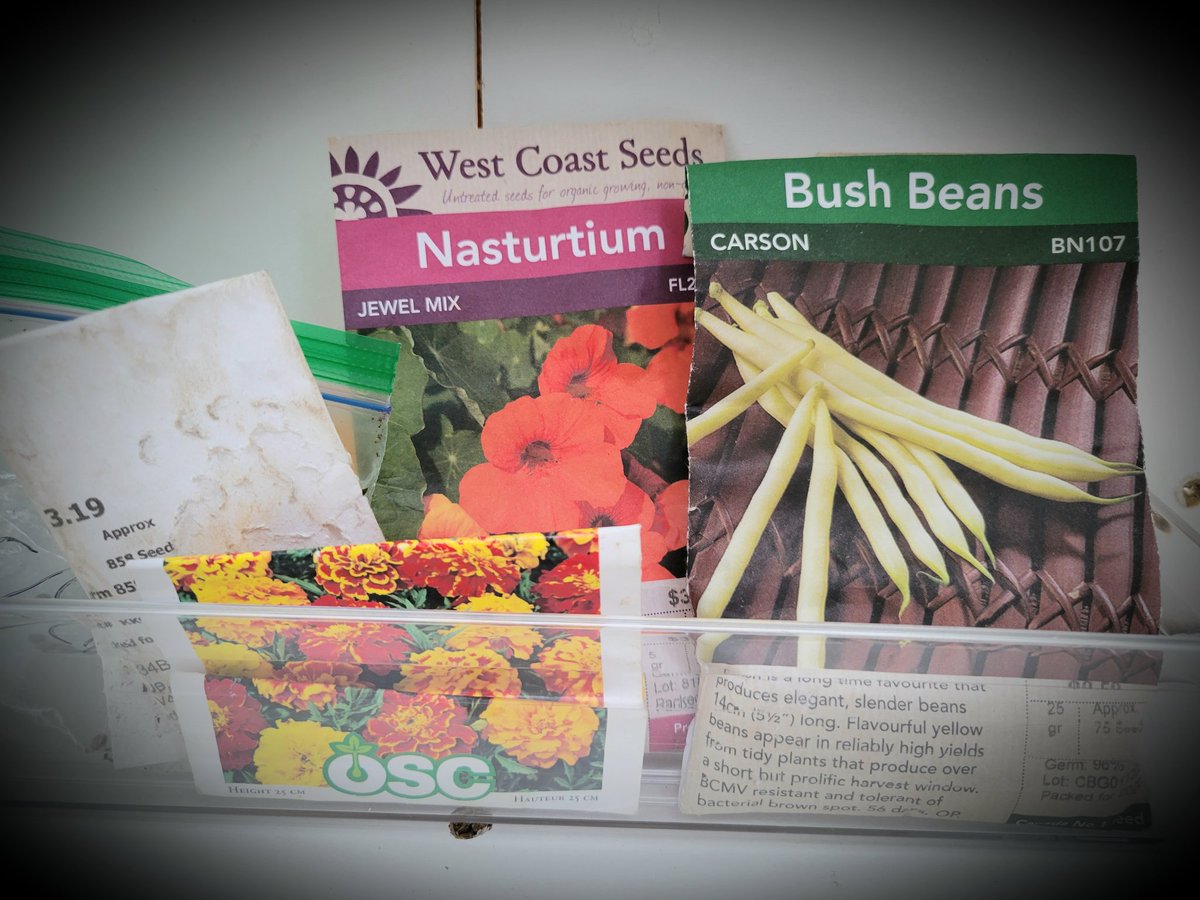 Dunedin Seed/Seedling Exchange Box (DunedinSeedBox) Twitter