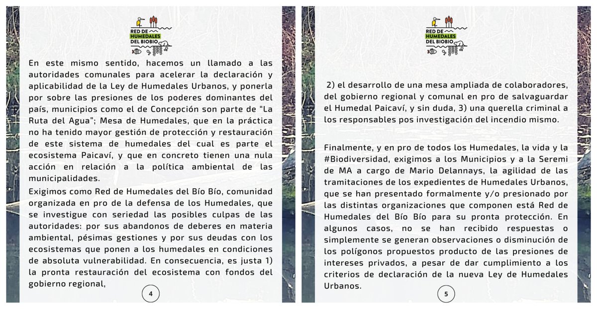 humedalesbiobio's tweet photo. COMUNICADO PÚBLICO POR EL INCENDIO EN EL HUMEDAL PAICAVÍ
18 de noviembre del año 2021 y el Humedal Paicaví no está protegido realmente, siendo uno de los ecosistemas con mayor exigencia histórica por parte de la comunidad del Concepción Metropolitano para ser salvaguardado. https://t.co/53AefdaUE5