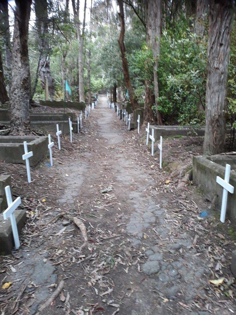 On the 19 Nov 1918, 63 people were buried in Karori Cemetery, all as a result of influenza. This is the largest number of burials in a single day in the cemetery's 130 year history. 
45 people died in Wellington of influenza on that day, all but 4 of them were buried at Karori.