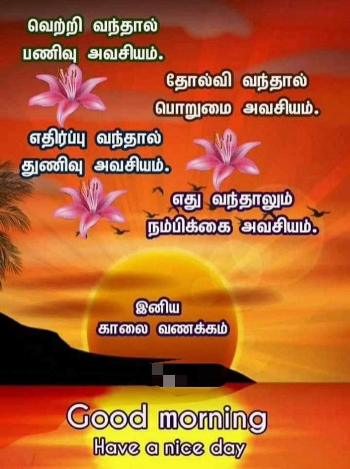 SaravananSure14's tweet photo. ஏ...மீரா...நின்னு #சாதிசாக்கடை_ஸ்டாலின் https://t.co/924by0kcoL