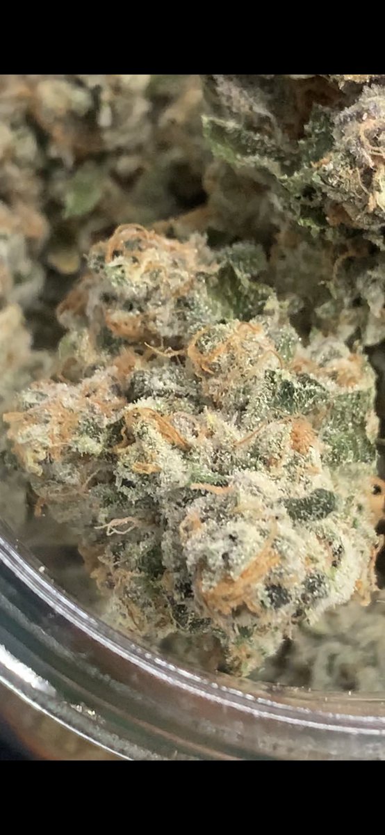 dunncannabis's tweet photo. This fresh lot of Açai Berry Gelato 3.5’s and Prerolls are now available for order at BCLDB. One of my ones yet! #dunncannabis #Craft #Craftcannabis #Craftquality https://t.co/gzUPX5dTIu