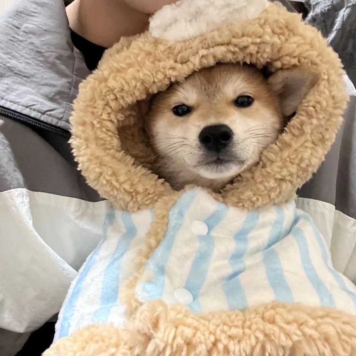 THJ_0319's tweet image. แจกน้ำหอม Gucci Flora ได้ทั้งน้ำหอมและLipเลยค่าาา แจกเพราะซื้อหมาใหม่ แต่เลี้ยงที่จีน เฮ้! 

กติกา รี+ฟอล แจกเฉพาะ ฟลว. 
สุ่มแจก 30 พ.ย. 64 เพราะรอของมาถึงจากชอปจีนค่าาา 😘

#หงจวิ้นเจี๋ย