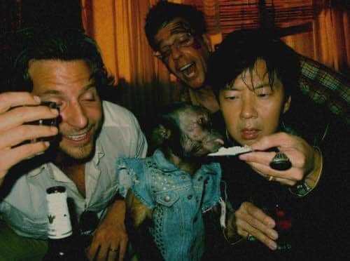 jimchad1898's tweet photo. #BongBongNarcos together with his Oxford and Wharton reject pals snorting coke at Bangkok. #SolidSnort https://t.co/k6oJYNnayS