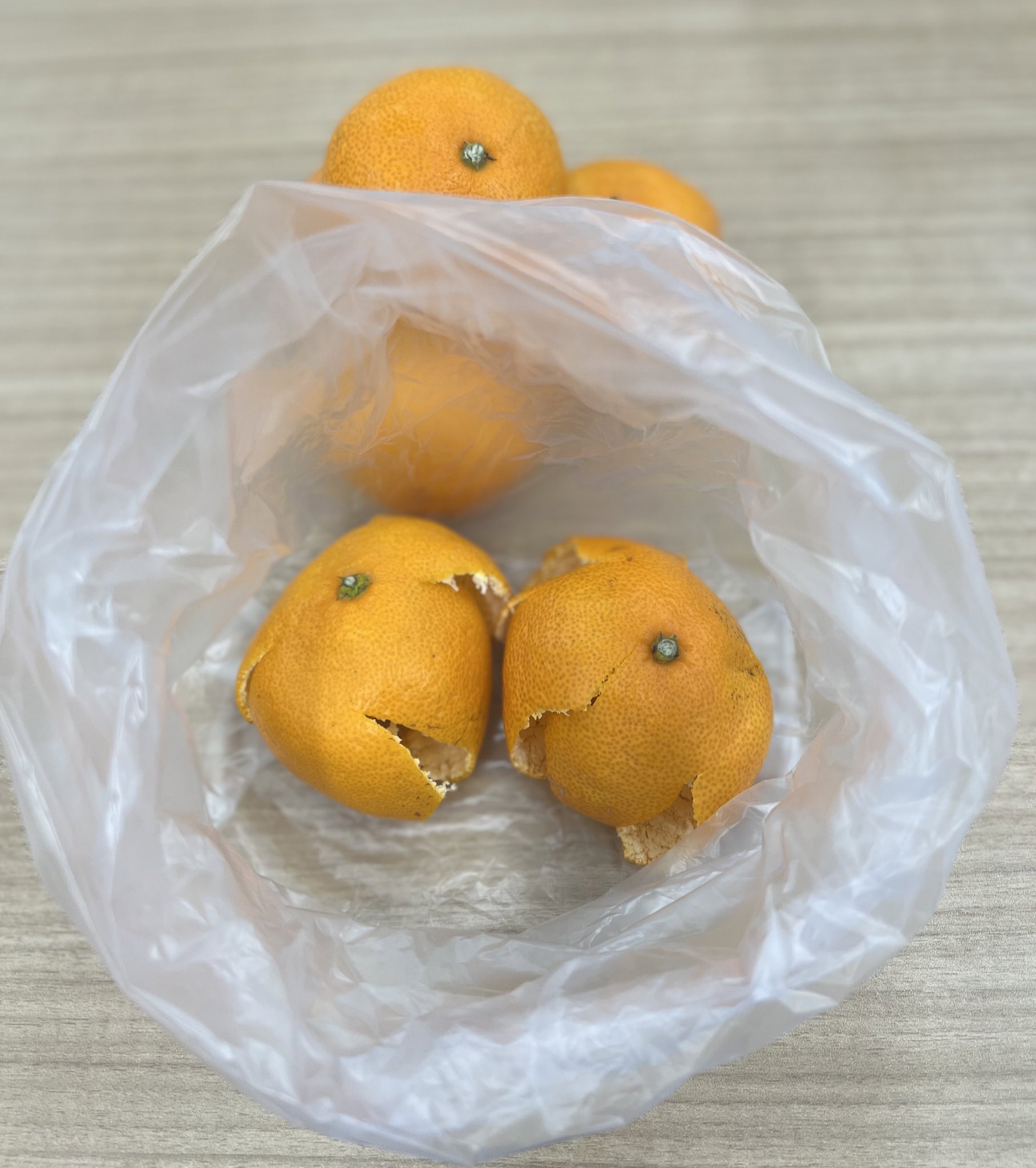 甘露のまいこさん そろそろみかん の皮を準備し始めました 果肉は先輩方にも食べるのを手伝ってもらってます 黒くなるまで干した陳皮は甘い香りがしますが みかんの爽やかな香りを活かしたいので洗って乾燥させてお茶などに使う予定です T Co