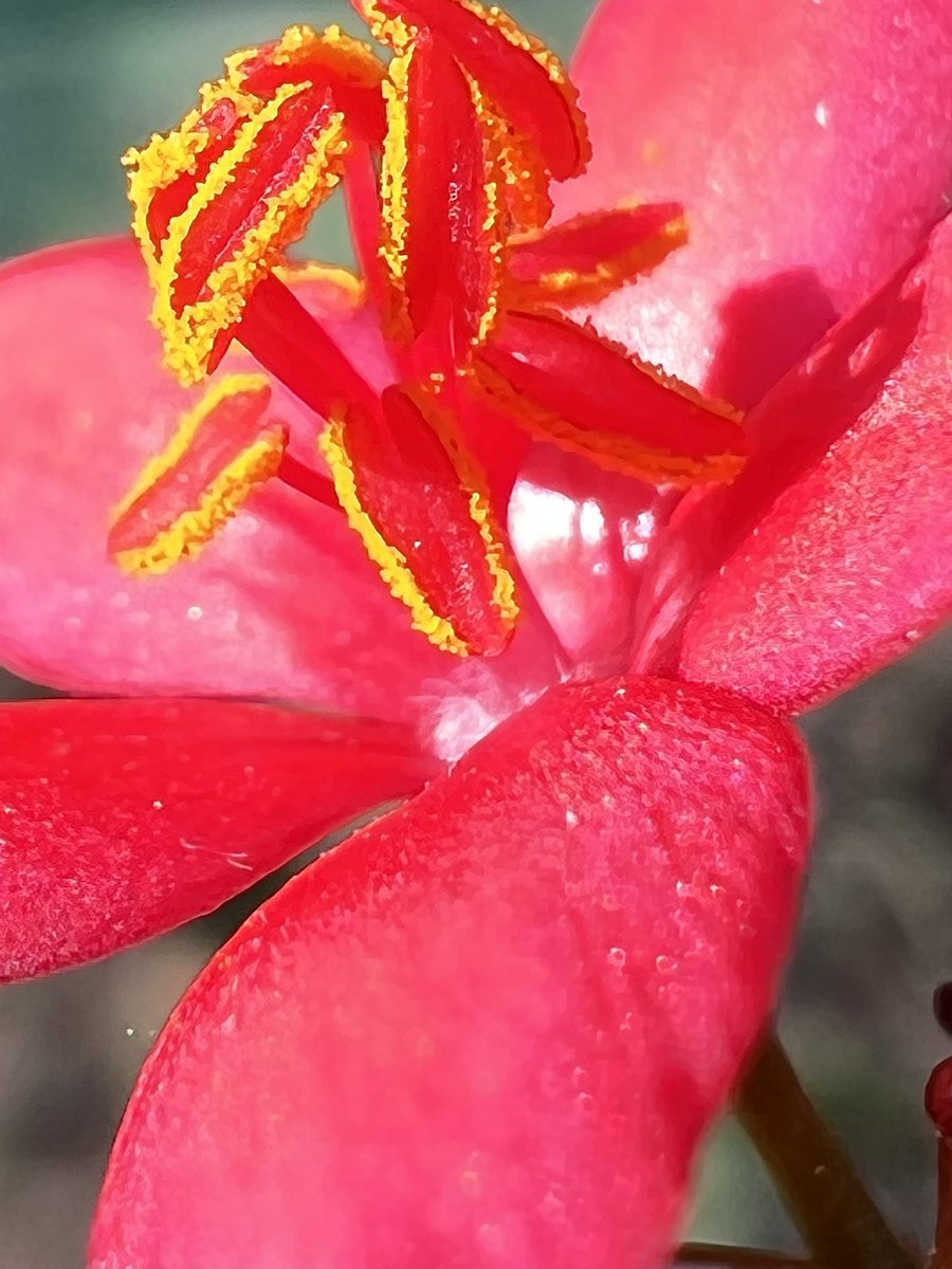 sureshlegacy's tweet image. Macro