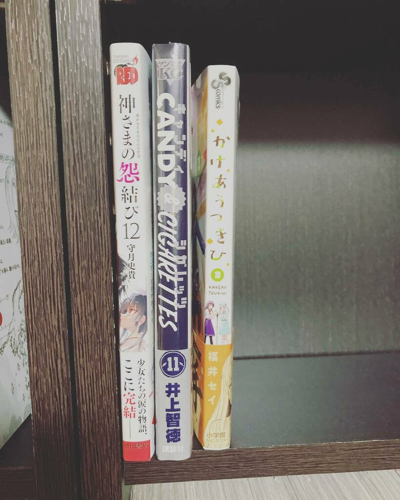 『CANDY&CIGARETTES』が完結してたなんて知らなかった…
『神様の怨結び』も最終巻だし、同時に2作品も大団円か〜

#今日買った漫画 
#神様の怨結び 
#CANDYANDCIGARETTES
#かけあうつきひ