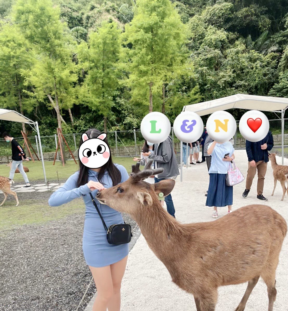 這兩隻鹿一看就內行的
看來是口渴了😎