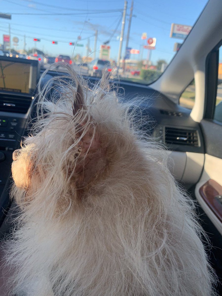 Yesterday on my way to get a bath.