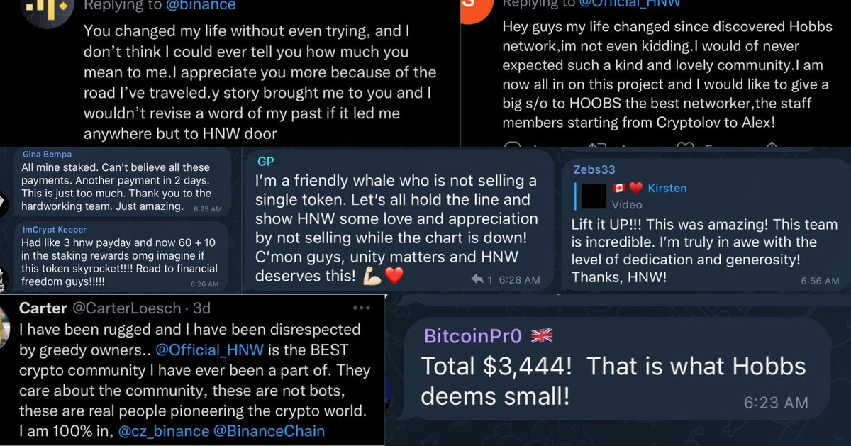 Official_HNW's tweet photo. #HNW as a launch network prides itself on building special bonds and relationships that binds us together into a tight knit community, bound together in achieving a single purpose — financial freedom.🥂

Here are some testimonials about #HNW made by our friends. 🤝

#BSC https://t.co/rO0M66W9xm